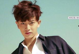 娱乐圈四大鲜肉,颜值与才华并存的璀璨新星