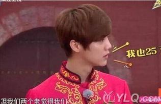 鹿晗的父母资料简介,星途璀璨，揭秘父母背后的故事